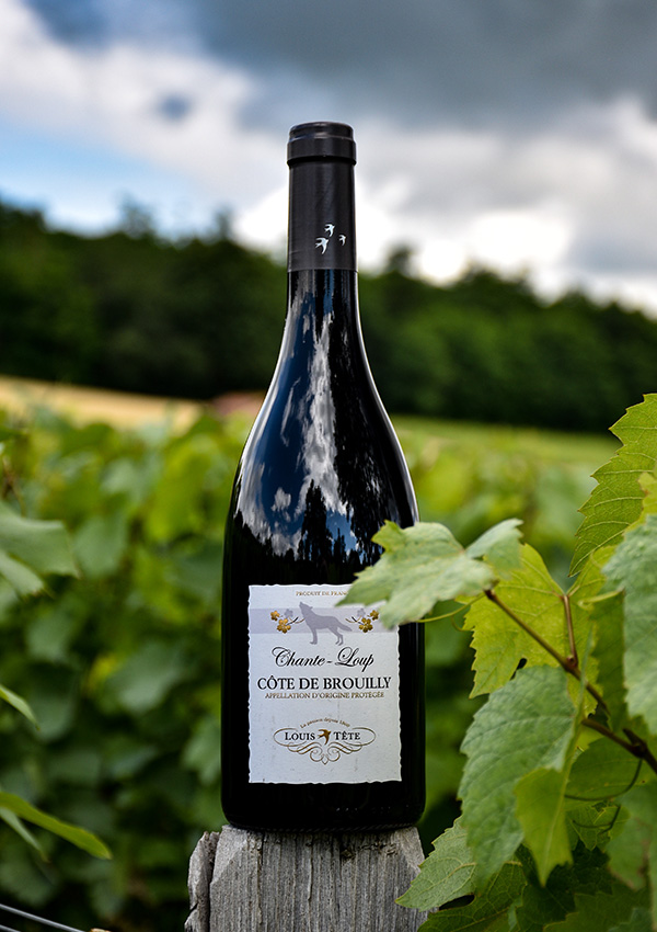 Côte de Brouilly Louis Tête